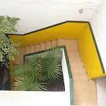 Falow Las Palmas de Gran Canaria