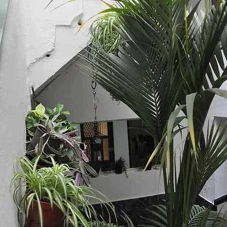 Falow * Las Palmas / Gran Canaria