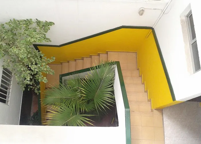 Falow Las Palmas / Gran Canaria